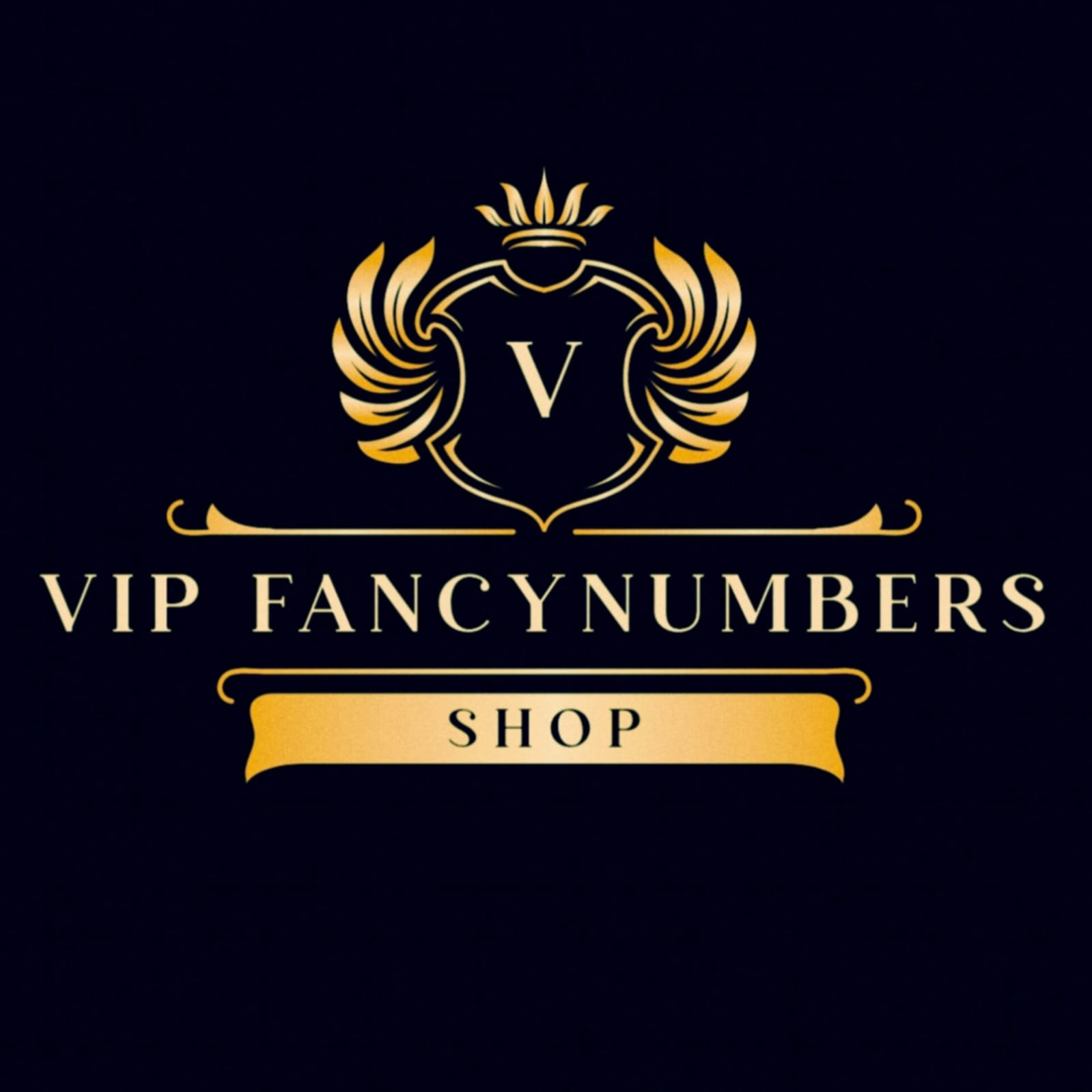 VIP Fancy Numbers
